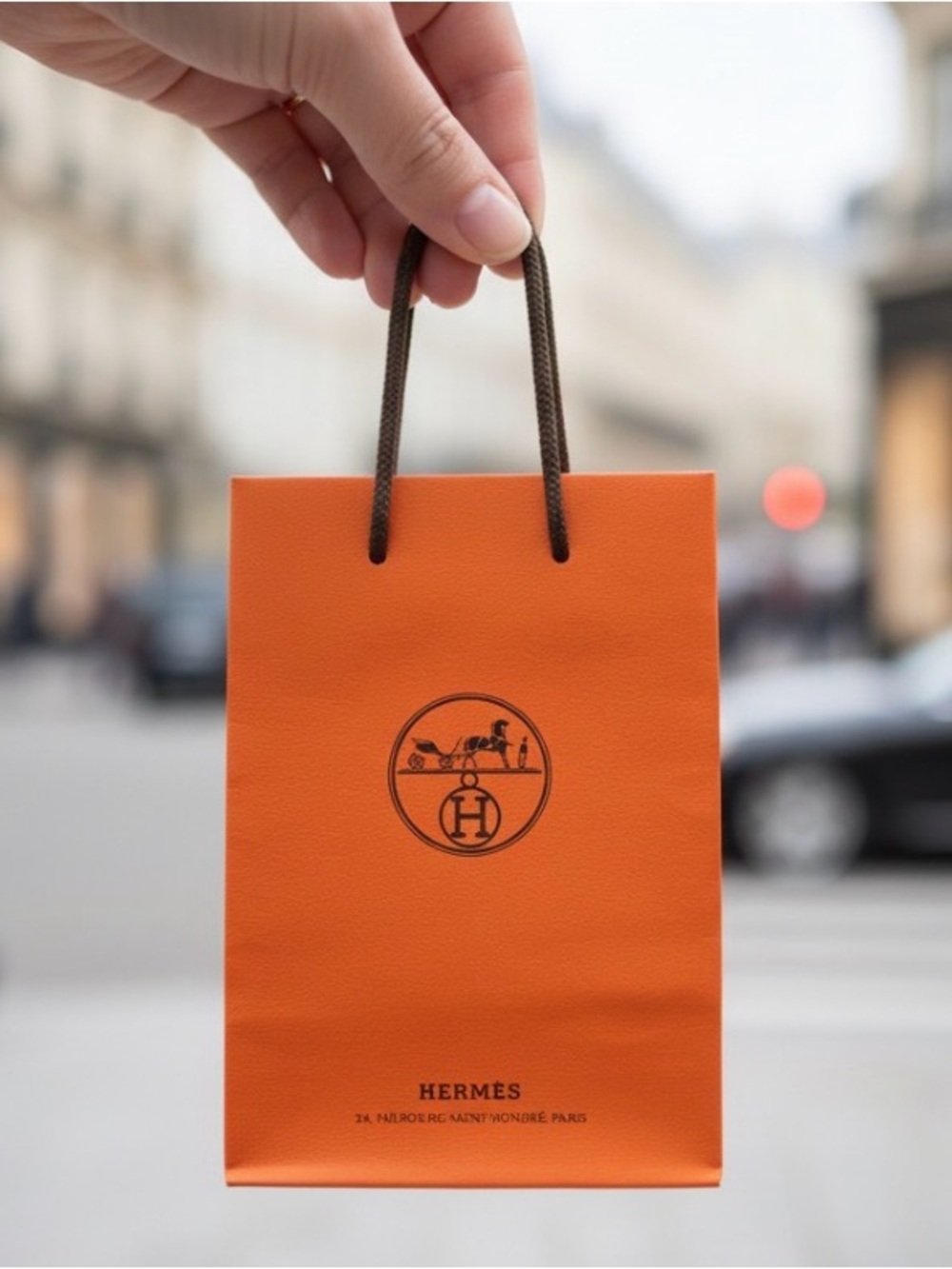 Lux Paper Shopping Bag choose 1